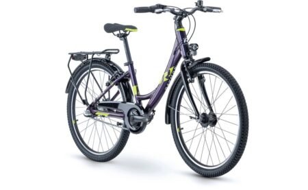 Raymon FourRay 2.5 Street - 24 Zoll - Tiefeinsteiger - 2024
