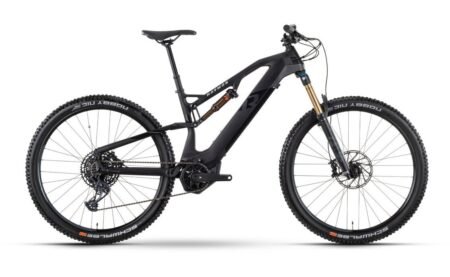 Raymon FullRay 150E 11.0 - 630 Wh - 29 Zoll - Fully