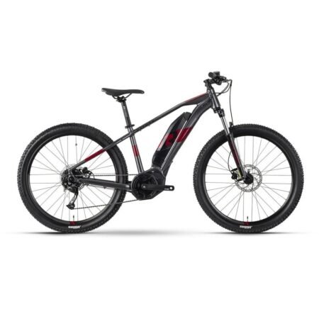 Raymon HardRay E 3.0 - 500 Wh - 2024 - 29 Zoll - Diamant