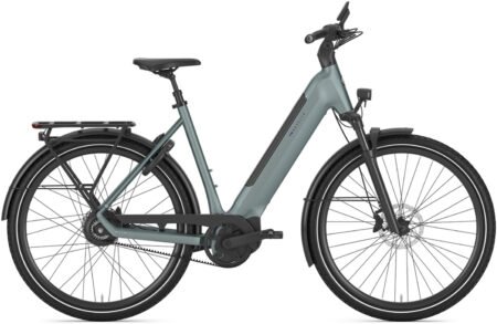 Gazelle Ultimate C380 Low-Step Green